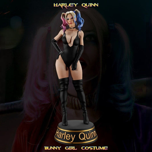 T00246-Harley Quinn in Bunny Girl Costume-DC